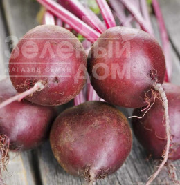 Насіння буряка Ред Сан F1 NWB / Red Sun F1 NWB,100-105 днів купити оптом і в роздріб в Україні за вигідною ціною