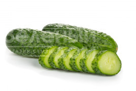 Насіння огірків Брідж F1 / Bridge F1 купити оптом і в роздріб в Україні за вигідною ціною