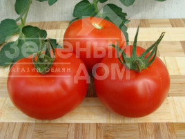Насіння томатів Дафне F1 / Daphne F1 купити оптом і в роздріб в Україні за вигідною ціною