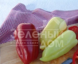 Семена сладкого перца Цинтия F1 / Tsintya F1 купить оптом и в розницу в Украине по выгодной цене