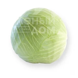 Семена капусты белокочанной Джинтама F1 / Gintama F1,90-110 дней купить оптом и в розницу в Украине по выгодной цене