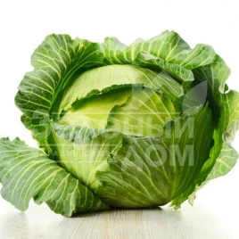 Семена капусты белокочанной Перлына F1 / Perlyna F1 купить оптом и в розницу в Украине по выгодной цене