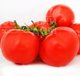 Насіння томатів Лабадо F1 / Labado F1,110-120 днів купити оптом і в роздріб в Україні за вигідною ціною