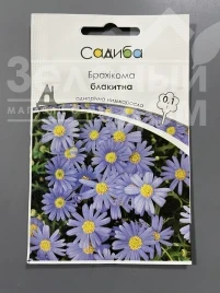 Семена цветов Брахикома голубая купить оптом и в розницу в Украине по выгодной цене