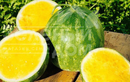 Насіння кавуна Прімаголд F1 / Primagold F1 купити оптом і в роздріб в Україні за вигідною ціною