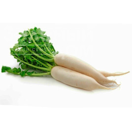 Насіння редьки Ярола F1 / Jarola F1,50-60 днів купити оптом і в роздріб в Україні за вигідною ціною