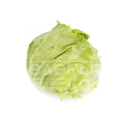 Семена салата Даянас / Dayanas купить оптом и в розницу в Украине по выгодной цене