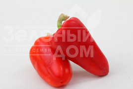 Насіння солодкого перцю Біла Зірка / Bila Zirka,105-110 днів купити оптом і в роздріб в Україні за вигідною ціною