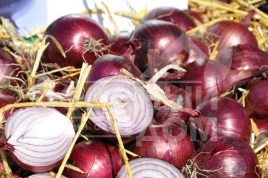 Лук репчатый Зен (1003) F1 / Zen (1003) F1,120 дней купить оптом и в розницу в Украине по выгодной цене