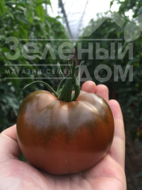 Насіння томатів Біг Сашер F1 / Big Sasher F1 купити оптом і в роздріб в Україні за вигідною ціною
