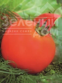 Семена томатов Ляна / Lyana купить оптом и в розницу в Украине по выгодной цене