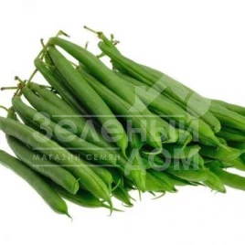 Семена спаржевой фасоли Ягуар F1 / Jaguar F1 купить оптом и в розницу в Украине по выгодной цене