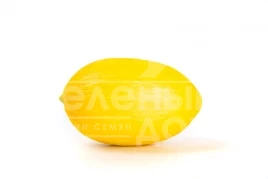 Семена дыни Азилал F1 / Azilal F1  купить оптом и в розницу в Украине по выгодной цене