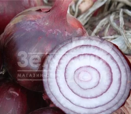 Лук репчатый Ройо Дуро F1 / Rojo Duro F1, 120-125 дней купить оптом и в розницу в Украине по выгодной цене