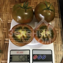Семена томатов Джордано F1 / Dzhordano F1,110 дней  купить оптом и в розницу в Украине по выгодной цене