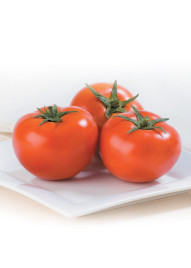 Насіння томатів Т-97082 (Квалітет F1) / Т-97082 (Qualitet F1), 65-70 днів купити оптом і в роздріб в Україні за вигідною ціною