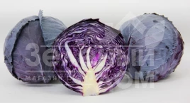 Семена капусты краснокочанной Корнет F1 / Kornet F1,85-90 дней купить оптом и в розницу в Украине по выгодной цене