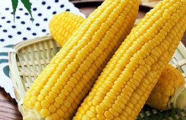 Насіння кукурудзи Лонга F1 / Longa F1 купити оптом і в роздріб в Україні за вигідною ціною