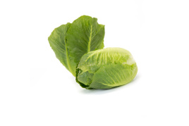 Насіння салату Тендіта / Tendita купити оптом і в роздріб в Україні за вигідною ціною