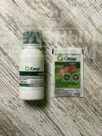 Фунгіциди Скор 250 EC / Score 250 EC купити оптом і в роздріб в Україні за вигідною ціною