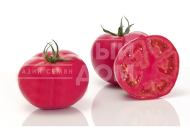Насіння томатів Пінк Імпрешн F1 / Pink Impression F1,100-110 днів купити оптом і в роздріб в Україні за вигідною ціною