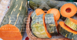 Насіння гарбуза Лунга Пієна ді Наполі / Lunga Piena di Napoli купити оптом і в роздріб в Україні за вигідною ціною