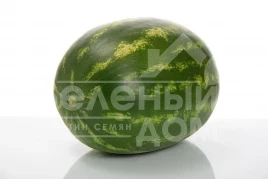 Семена арбуза Селест  F1 / Selest F1, 70-75 дней купить оптом и в розницу в Украине по выгодной цене