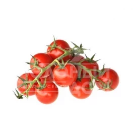 Семена томатов Метро F1 / Metro F1,90-95 дней. купить оптом и в розницу в Украине по выгодной цене