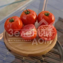 Семена томатов Дебют F1 / Debut F1,83-85 дней купить оптом и в розницу в Украине по выгодной цене