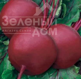 Семена свеклы Бикорес / Bikores купить оптом и в розницу в Украине по выгодной цене