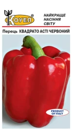 Семена сладкого перца Квадрато Асти красный / Kvadrato Asti, 95 дней купить оптом и в розницу в Украине по выгодной цене