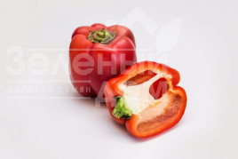 Насіння солодкого перцю Халк F1 / Halk F1 купити оптом і в роздріб в Україні за вигідною ціною