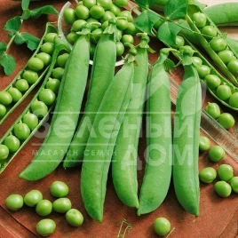 Семена гороха Авола / Avola купить оптом и в розницу в Украине по выгодной цене