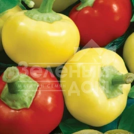 Семена горького перца Палинда F1 / Palinda F1,70-80 дней купить оптом и в розницу в Украине по выгодной цене