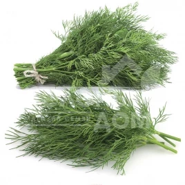 Семена укропа Компакт / Compact купить оптом и в розницу в Украине по выгодной цене