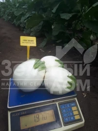 Семена баклажана ЦРХ 50189 F1 / CRX 50189 F1 купить оптом и в розницу в Украине по выгодной цене