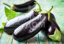 Насіння баклажанів Алмаз / Almaz купити оптом і в роздріб в Україні за вигідною ціною