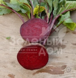 Семена свеклы Гарольд / Garold,65-70 дней купить оптом и в розницу в Украине по выгодной цене