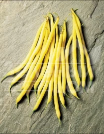 Семена спаржевой фасоли Фруидор / Fruidor купить оптом и в розницу в Украине по выгодной цене