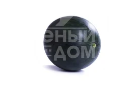Насіння кавуна Тропікал Саншайн F1 / Tropical Sunshine F1, 62-65 днів купити оптом і в роздріб в Україні за вигідною ціною