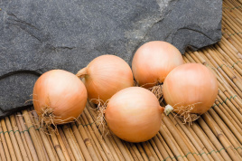 Цибуля ріпчаста Дербі F1 / Derby F1,90-95 днів купити оптом і в роздріб в Україні за вигідною ціною