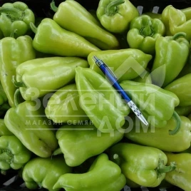 Семена сладкого перца Лунги F1 / Lungy F1,55-65 дней купить оптом и в розницу в Украине по выгодной цене