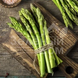 Семена спаржи Аспарагус UG 157 F1 / Asparagus UG 157 F1 купить оптом и в розницу в Украине по выгодной цене