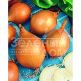 Лук репчатый Вшетана / Vshetana купить оптом и в розницу в Украине по выгодной цене