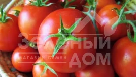 Семена томатов Диадема F1 / Diadema F1,110-115 дней купить оптом и в розницу в Украине по выгодной цене