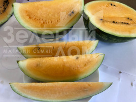 Насіння кавуна Оранж Лакшері F1 / Orange Luxury F1, 70-73 дні купити оптом і в роздріб в Україні за вигідною ціною