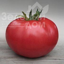 Насіння томатів Кібо F1 / Kibo F1,105-115 днів купити оптом і в роздріб в Україні за вигідною ціною
