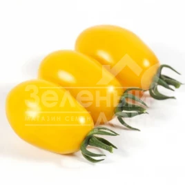 Семена томатов КС 3690 F1 / KS 3690 F1,95-100 дней купить оптом и в розницу в Украине по выгодной цене