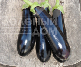 Насіння баклажанів Мабел F1 / Mabel F1,95 днів купити оптом і в роздріб в Україні за вигідною ціною