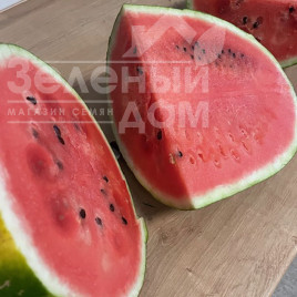 Насіння кавуна В410 F1 / W410 F1, 65-68 днів купити оптом і в роздріб в Україні за вигідною ціною